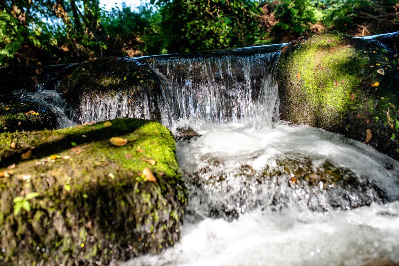 Quinta De Vila Nova - Agroturismo Monção Eksteriør bilde