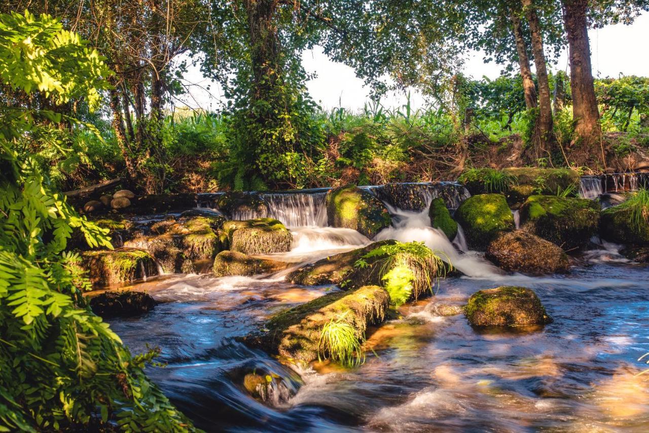 Quinta De Vila Nova - Agroturismo Monção Eksteriør bilde