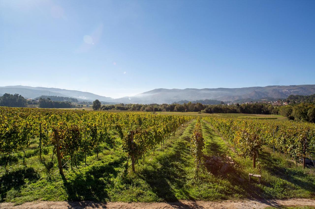 Quinta De Vila Nova - Agroturismo Monção Eksteriør bilde